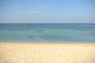 夏の海でのロケフォト (8月 3日)